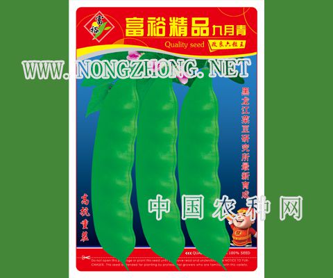 富裕精品九月青